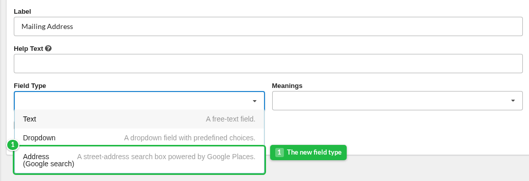 The Field Type dropdown with the new "Address (Google search)" option.